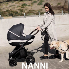 Nanni