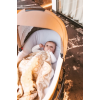 Коляска Tutis Viva Life Luxury 3 в 1, Amber Gold